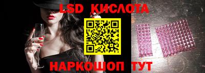 крисы Новокубанск