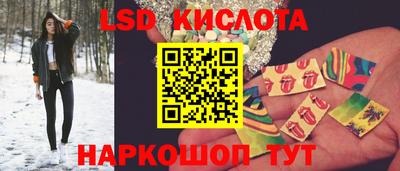 крисы Новокубанск