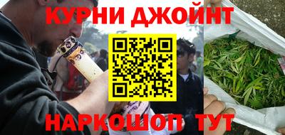 крисы Новокубанск