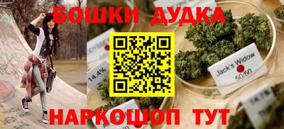 крисы Новокубанск