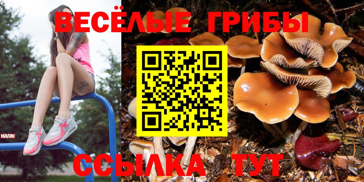 Псилоцибиновые грибы GOLDEN TEACHER Урай